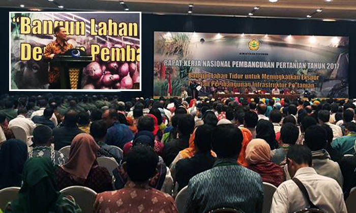 Produksi Padi 2017 Ditargetkan 85,5 Juta Ton GKG, Luas Panen 16 Juta Hektar